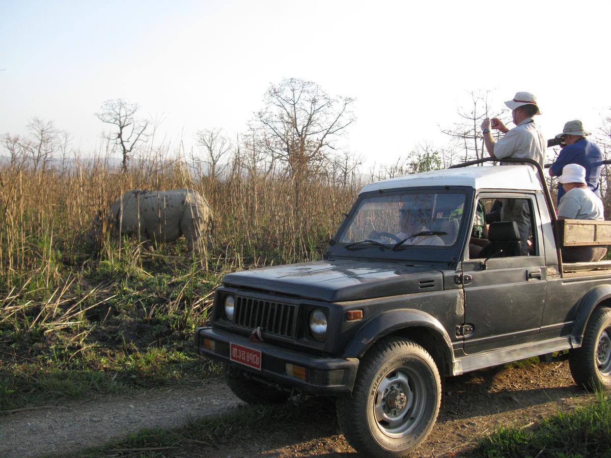 Rhino Land Jungle Lodge Sauraha Exterior foto