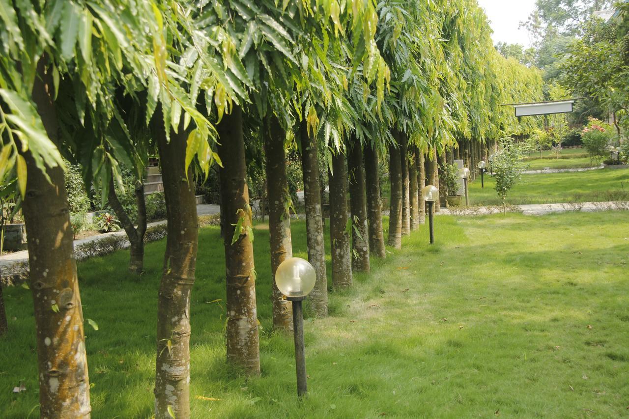 Rhino Land Jungle Lodge Sauraha Exterior foto