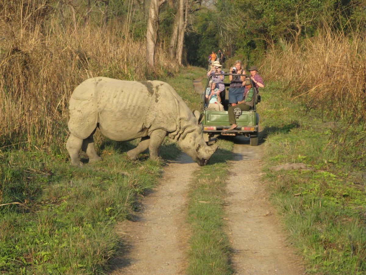 Rhino Land Jungle Lodge Sauraha Exterior foto
